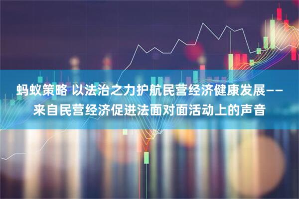 蚂蚁策略 以法治之力护航民营经济健康发展——来自民营经济促进法面对面活动上的声音